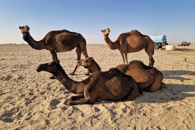 Salalah: Empty Quarter Desert Adventure to Hashman Dunes