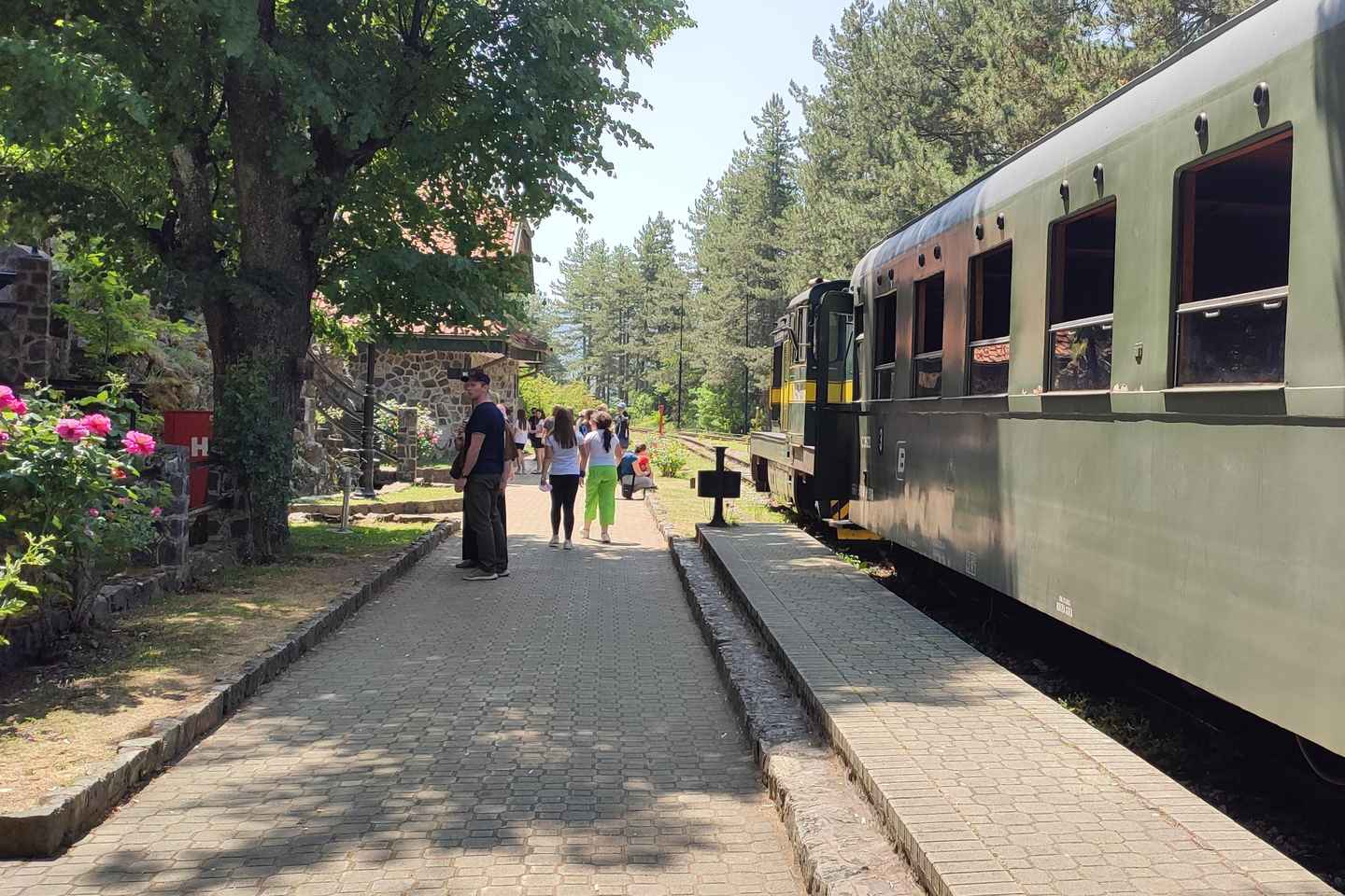 From Zlatibor/Užice: Mokra Gora & Tara National Park