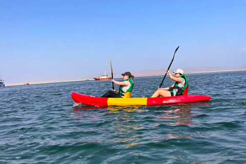 Paracas Ocean Experience: Ballestas Islands Premium, Kayak and Flamingos Paracas Ocean Experience: Premium Ballestas Islands, Kayak, and Flamingos