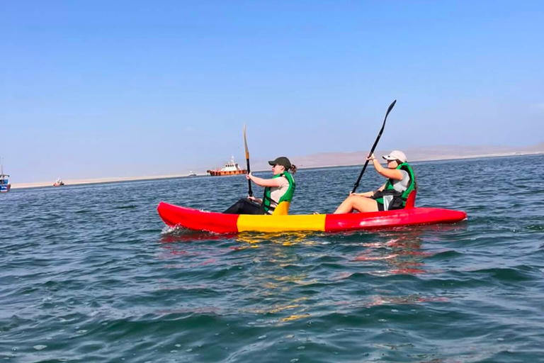 Paracas Ocean Experience: Ballestas Islands Premium, Kayak and Flamingos Paracas Ocean Experience: Premium Ballestas Islands, Kayak, and Flamingos