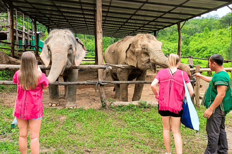 Chiang Mai: Elephant Sanctuary & Watch Sunrise at Temple