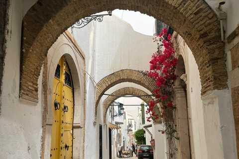 Excursión Cartago,Medina y Sidi BouSaid