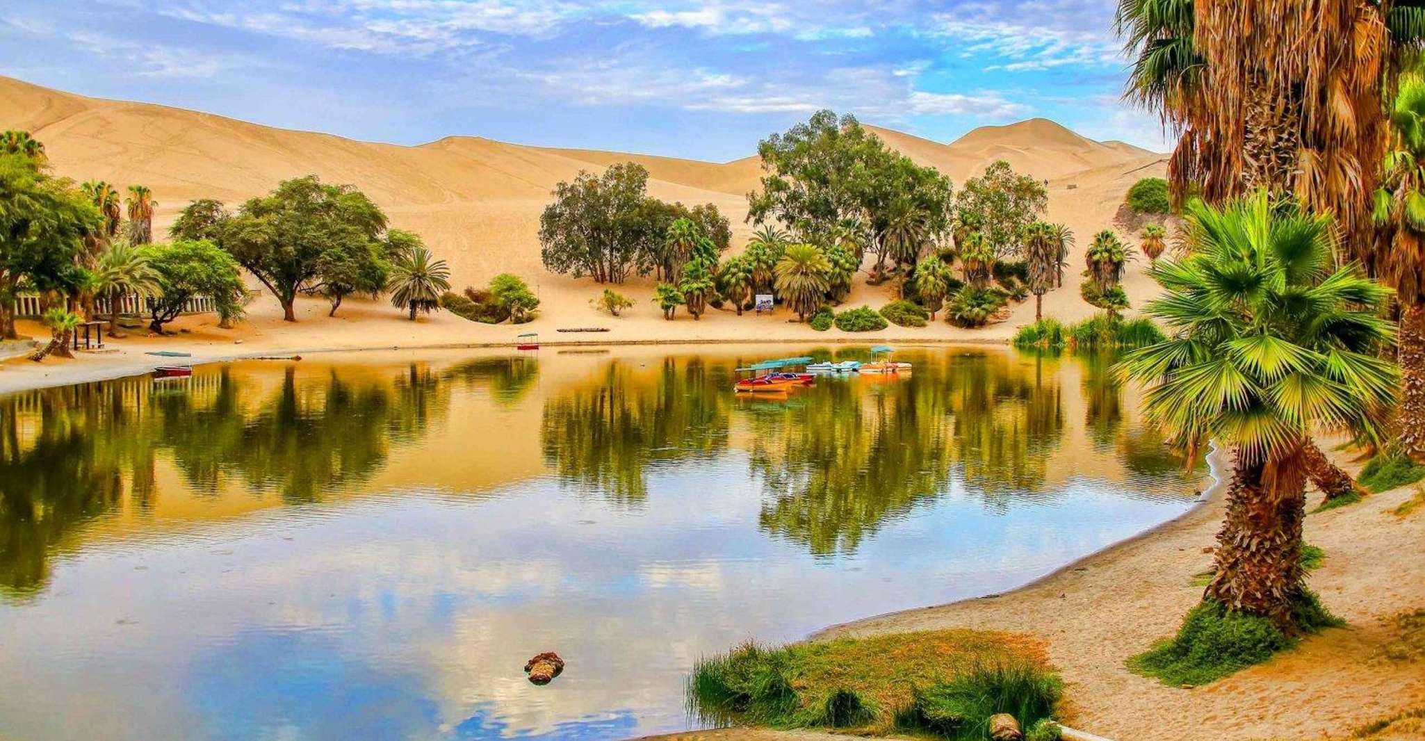 From Lima, Paracas and Huacachina Guided Desert Oasis Trip - Housity