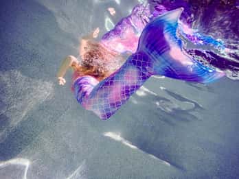 Sunshine Coast: Mermaid Swim Experience