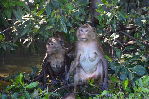 Targ Maeklong, tajemnice namorzynów, podróż inspirowana lotosem