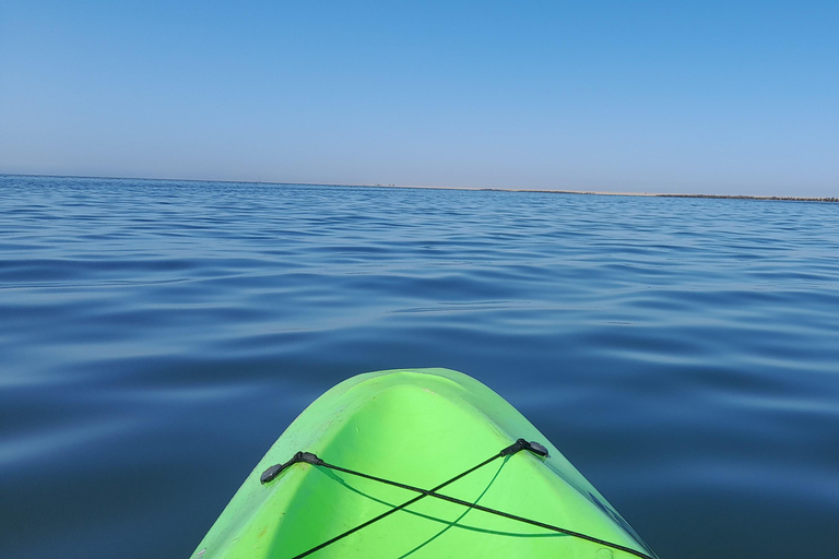 Swakopmund: Sunset Kayaking Tour with Hotel Pickup