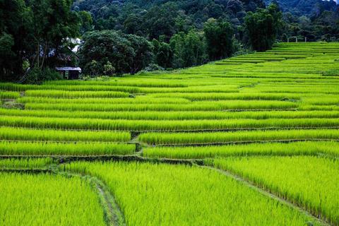 Trekking nel Parco Nazionale di Doi Inthanon e sentiero di Pha Dok Siew