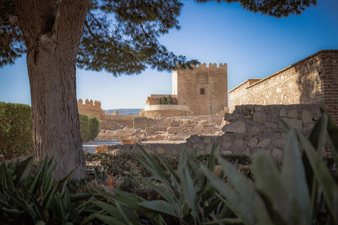 Almería: Andalusian Astronomy at the Alcazaba and Astronomical Observation