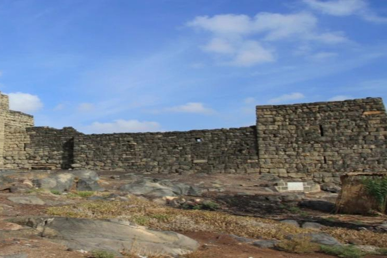 History & Nature: Azraq Wetland Reserve and Desert Castles
