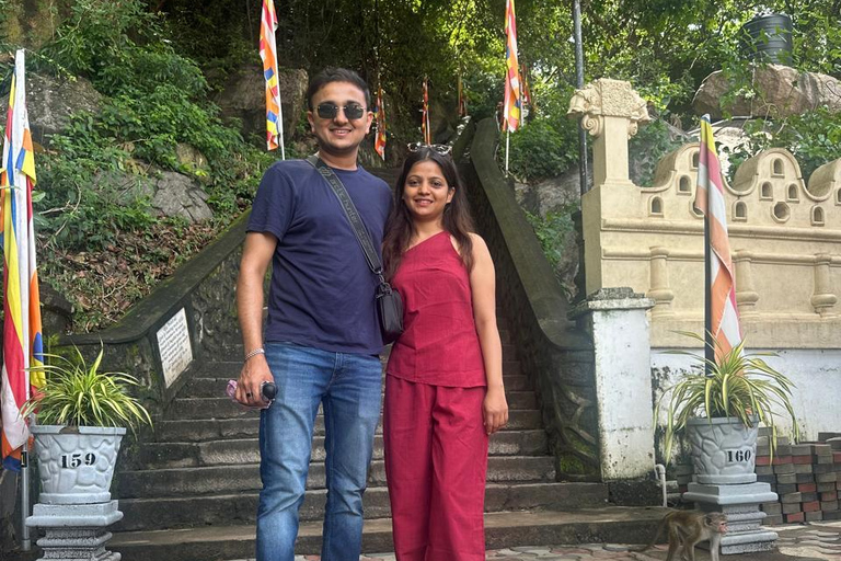 CMB/Negombo: Sigiriya, Kandy & Ella Private Tour with Driver Private Van with Driver – Up to 50 km