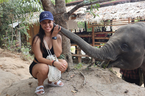 Chiang Mai 2-Day: Good Morning Elephant & Overnight Homestay