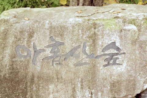 Au départ de Busan : visite du patrimoine UNESCO de Gyeongju avec vue nocturneGyeongju : départ de Busan pour une visite guidée du patrimoine de l&#039;UNESCO avec vue nocturne