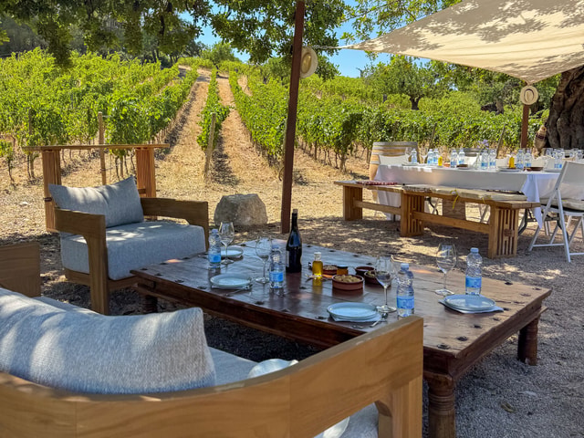 Can Gelat Classic Wine Tasting and Tour