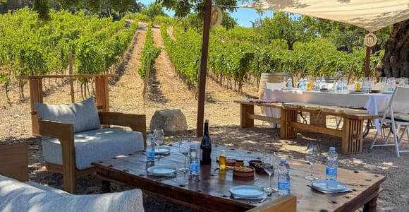 Mallorca: Weinprobe, Weinberg-Tour & Luxus-Tapas
