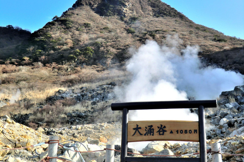 Tokyo: Hakone, Owakudani & Gotemba Premium Outlet 1-Day Tour From Shinagawa