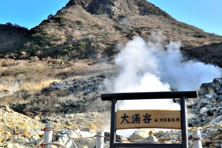 Tokyo: Hakone, Owakudani & Gotemba Premium Outlet 1-Day Tour From Shinagawa