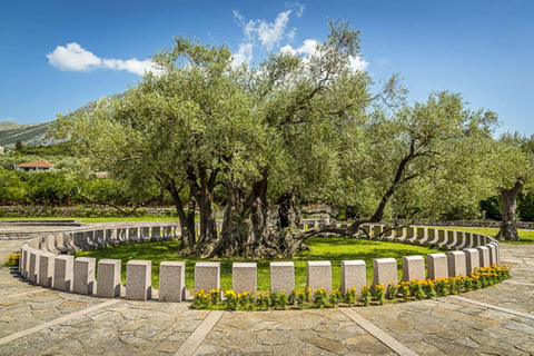 Old Town Bar, Old Olive Tree and the region of olive groves The region of olive groves: Old Town Bar and Oil tasting