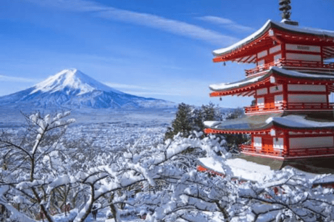 From Tokyo : Mount Fuji Private Tour With English Guide