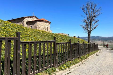 Sofia: The Fortress of Tsari Mali Grad - 4 mountains & SPA