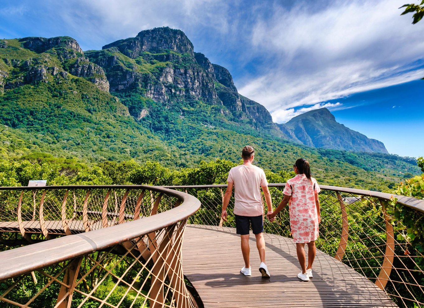 Kapstaden: Halvdagstur til Kap Det Gode Håb og pingvinkolonien