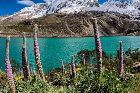 From Huaraz||Rocotuyoc Lagoon - Frozen Lagoon || Full Day