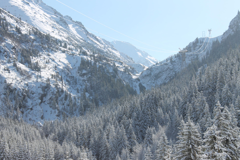 Transylvania: 2-Day Castles, Brasov & Transfagarasan