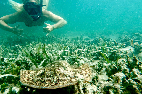 West Palm Beach: Nybörjare Jet Snorkel Tour med videor