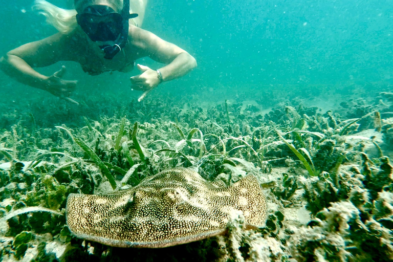 West Palm Beach: Tour di Jet Snorkeling per principianti con video