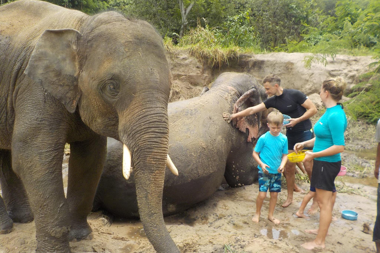 The Must-Do: Authentic Elephant & Village Life in Chiang Mai