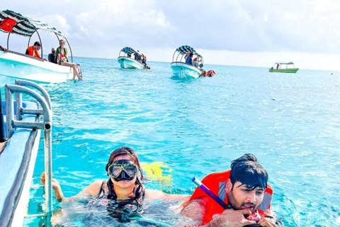 Zanzibar:Mnemba Dolphin Spotting+Aquarium+ Kendwa Beach Escp