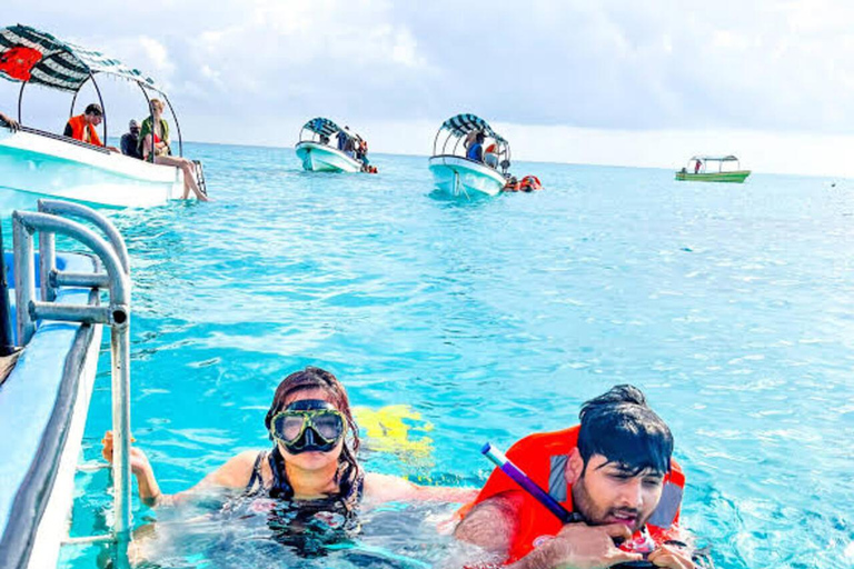Zanzibar:Mnemba Dolphin Spotting+Aquarium+ Kendwa Beach Escp