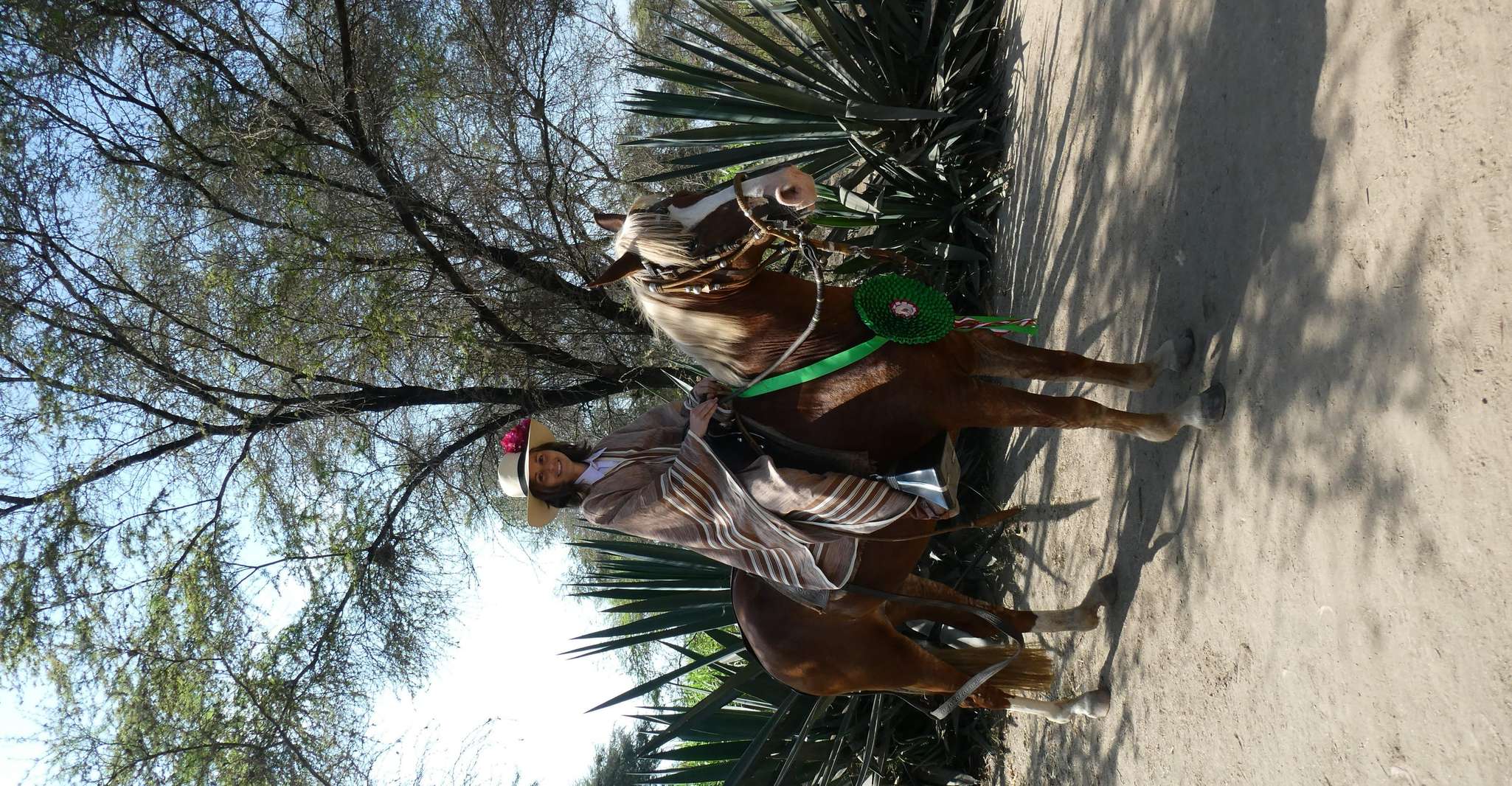 Peru,, 4 hours horseback riding and Ancient Pyramids - Housity