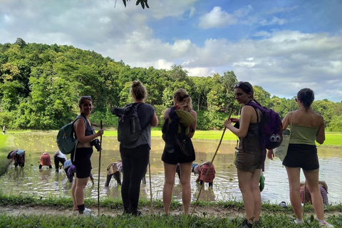 Chiang Mai: 2-Days Jungle Trek, Waterfalls and Karen Village