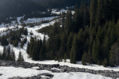 Sinaia: Ialomita Cave and Bucegi Mountains Tour