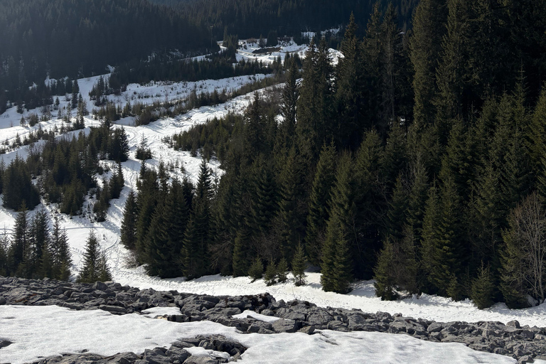 Sinaia: Ialomita Cave and Bucegi Mountains Tour