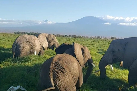 Red Elephants & Kilimanjaro Views: 3-day Tsavo East/Amboseli
