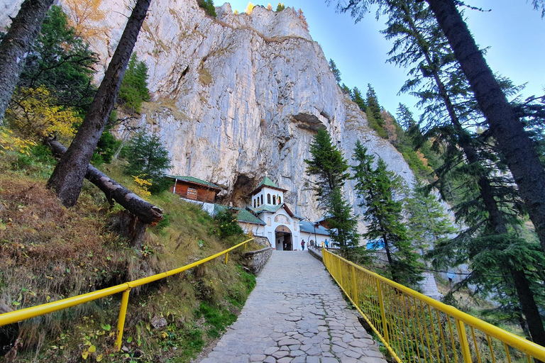 Sinaia: Ialomita Cave and Bucegi Mountains Tour