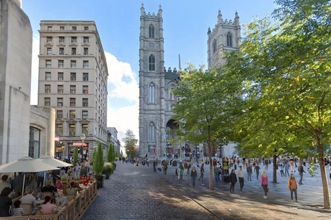 Old Montreal Walking Tour Certified Guide (8 people max)