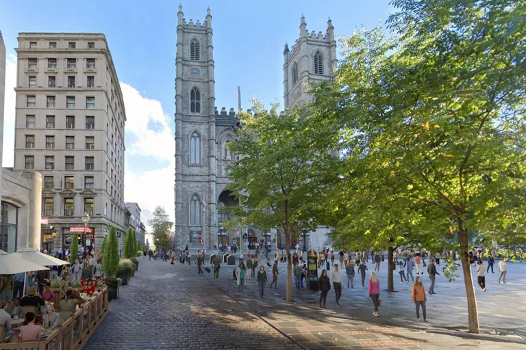 Old Montreal Walking Tour Certified Guide (8 people max)