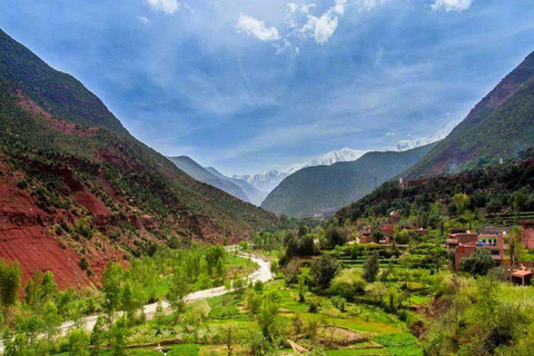 Excursion d'une journée à Marrakech en tyrolienne dans le Haut Atlas