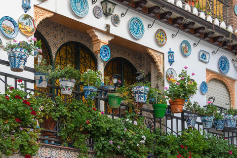 Best of Granada: Private Walking Tour with a Local Private City Tour - 6Hr