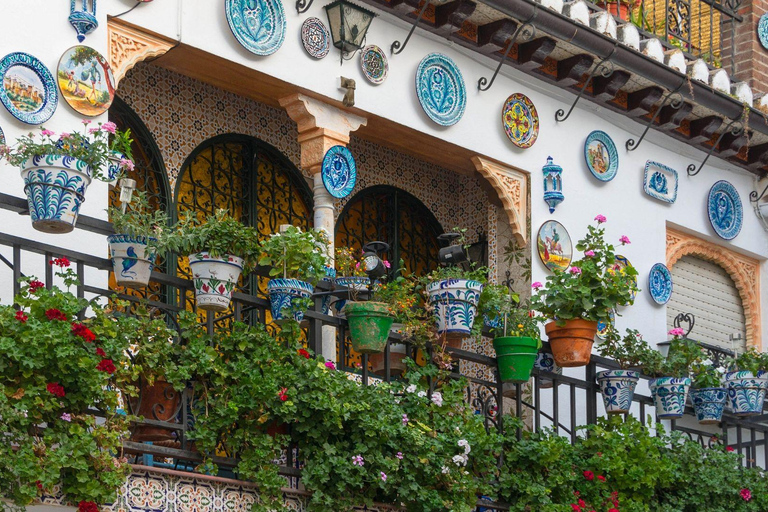 Best of Granada: Private Walking Tour with a Local Private City Tour - 6Hr