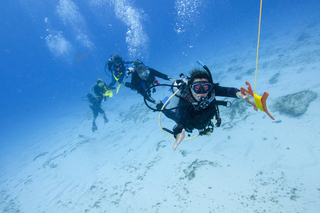 Sithonia: 1 Guided Shore Dive for Certified Divers