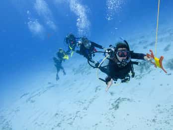 Sithonia: Half-Day Scuba Diving 2 Guided Shore Dives