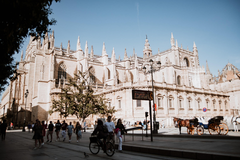 Private Horse-Drawn Carriage Ride in Seville