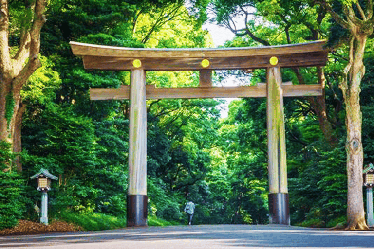 Tóquio: Excursão a pé a Shibuya com um guia local, Santuário Meiji