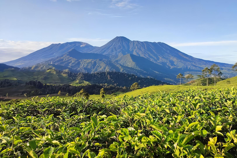 Jakarta : Waterfall, Camping Ground, Volcano 3 Day 2 Night