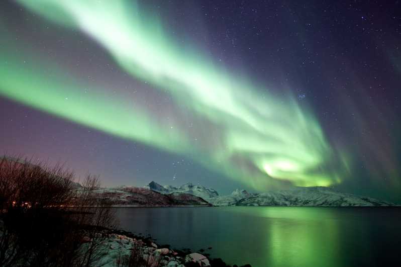 Tromsø : Chasse aux aurores boréales avec garantie de la deuxième chance