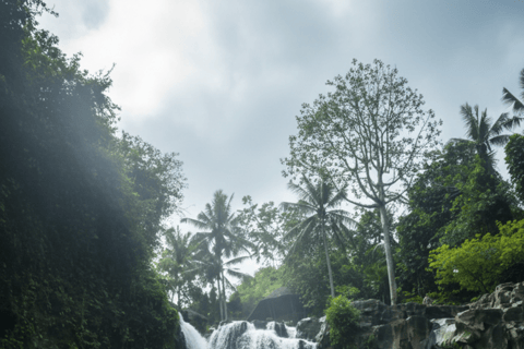 Bali: Hidden And New Secret Waterfalls All Including