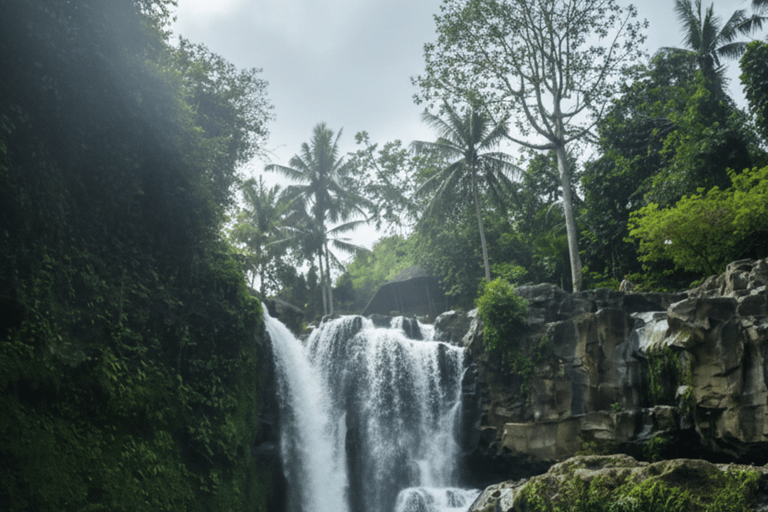 Bali: Hidden And New Secret Waterfalls All Including